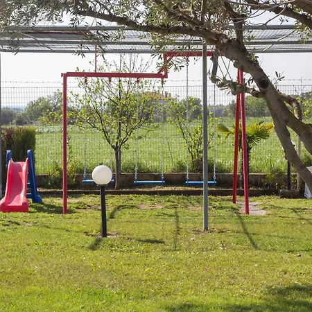 Emily's אפאנומי