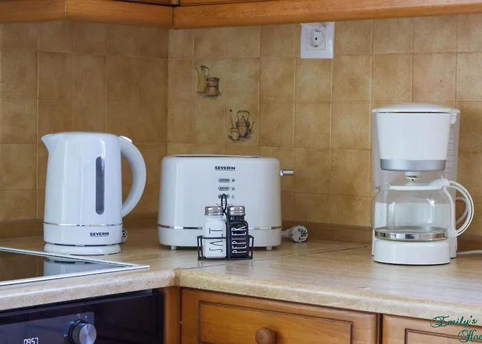 Emily's 公寓 埃帕诺米